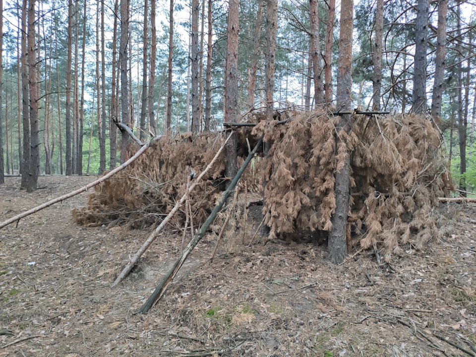 тихе полювання, продовження ... 5