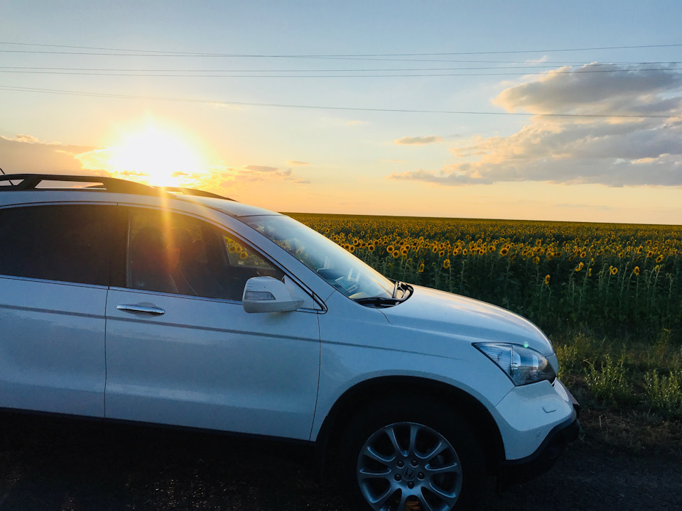 Ремкомплект заднього номерного знаку HONDA CRV-3 1