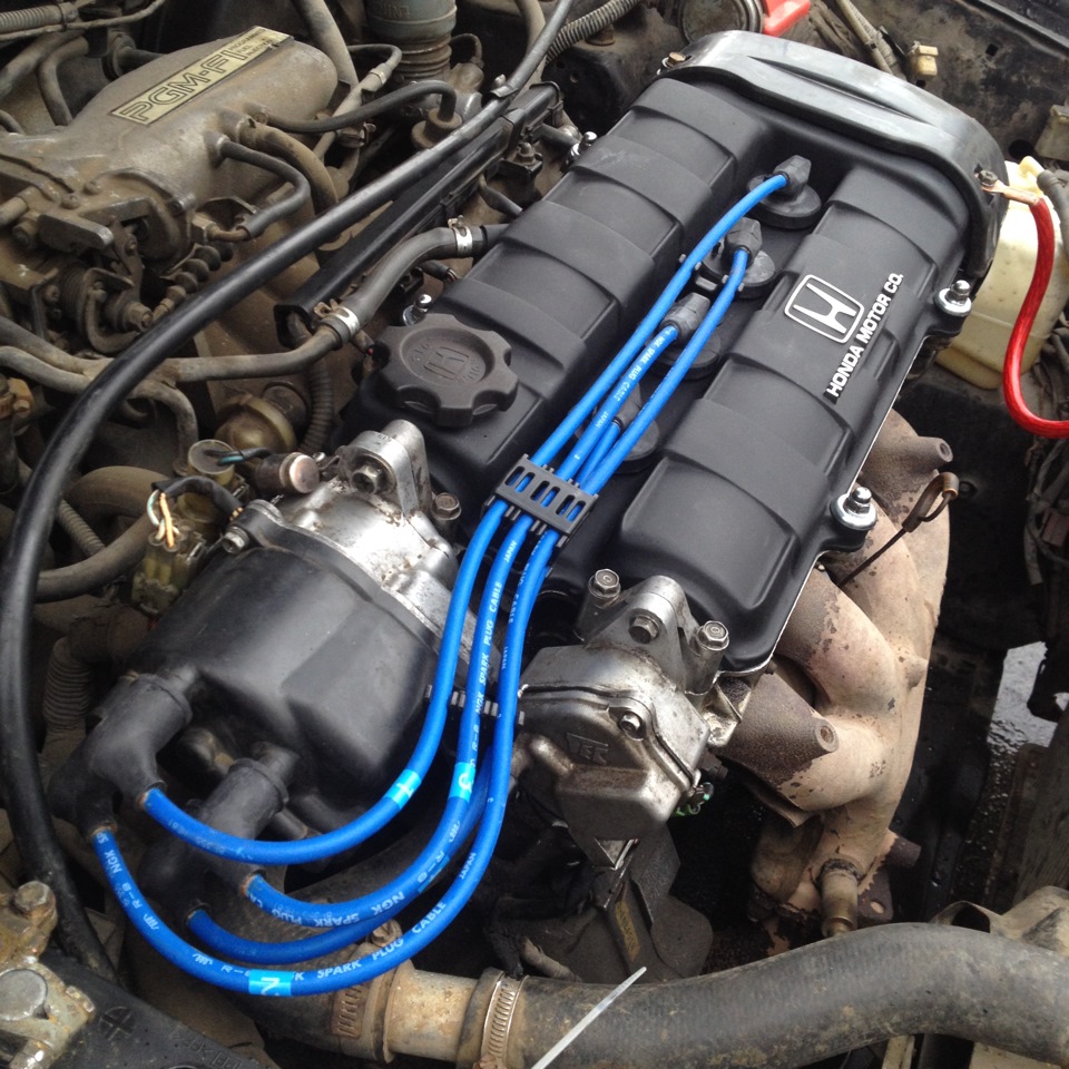 NGK ignition wires 1