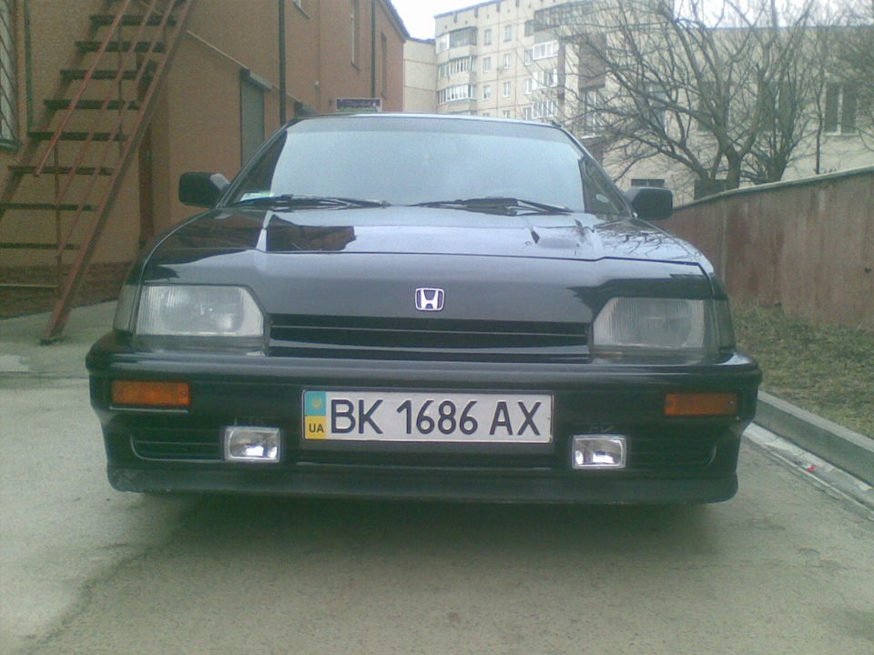Запис, 29 грудня 2011 року 5
