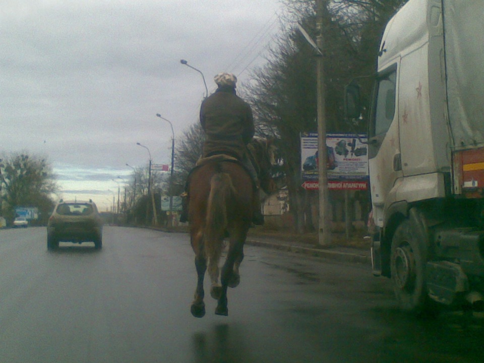 Запис, 6 січня 2012 5