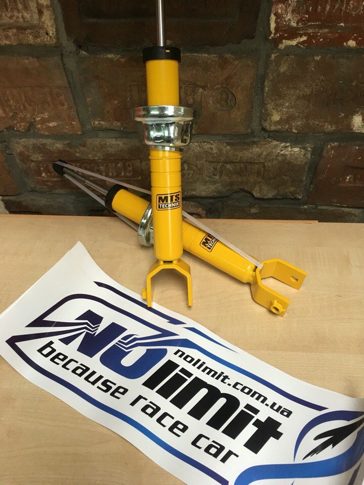 Задні амортизатори mts technik 1