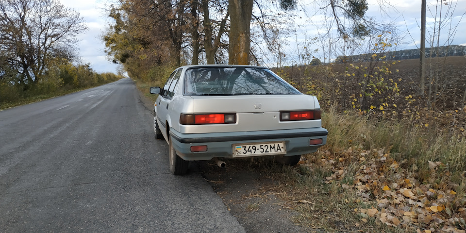 Покотушки 5