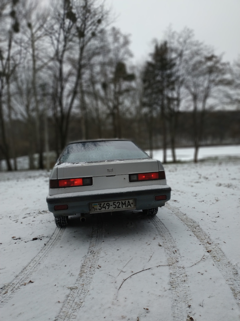 Зимовий фотосет 5