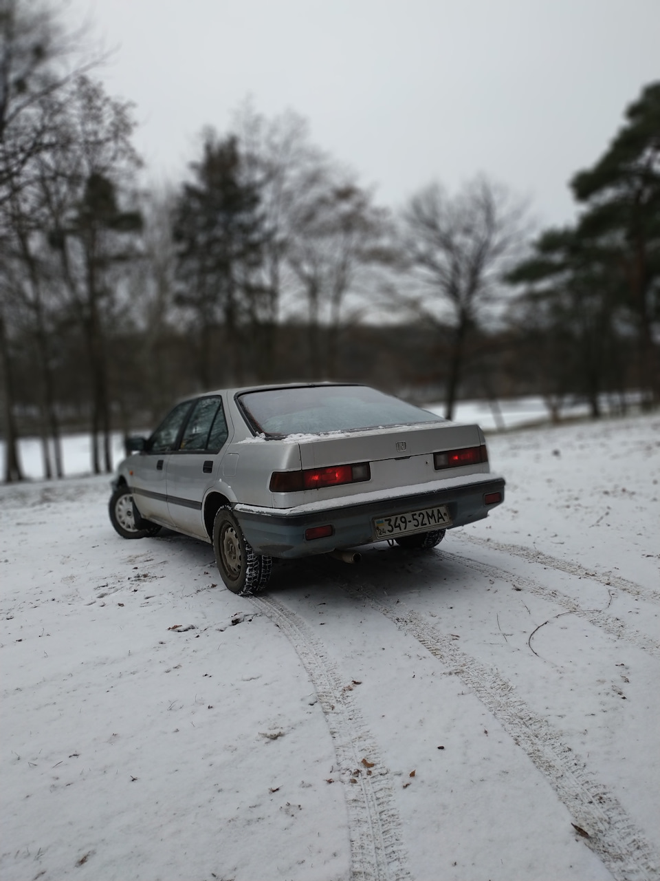 Зимовий фотосет 4