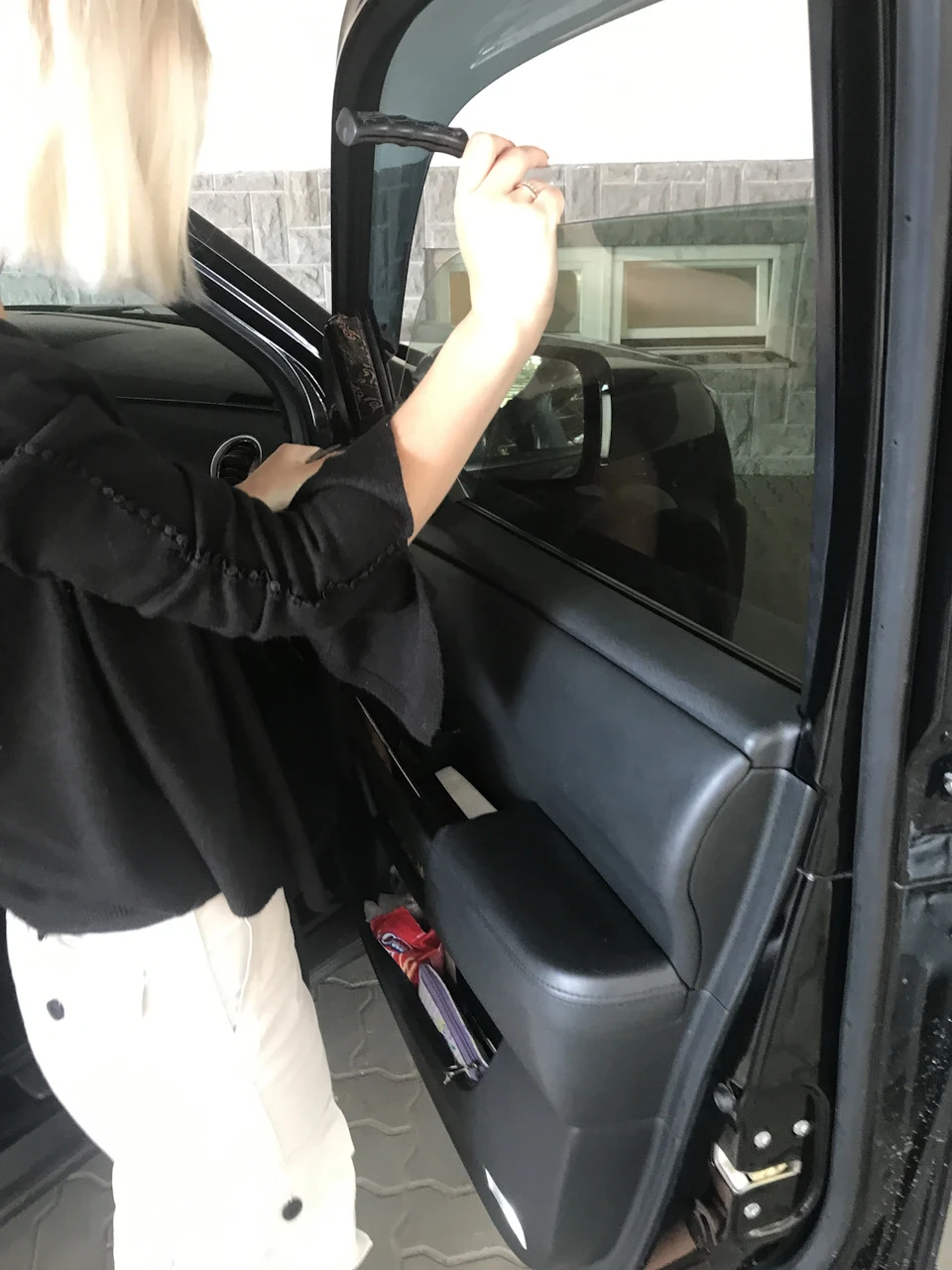 Позачергова покотушка до Європи