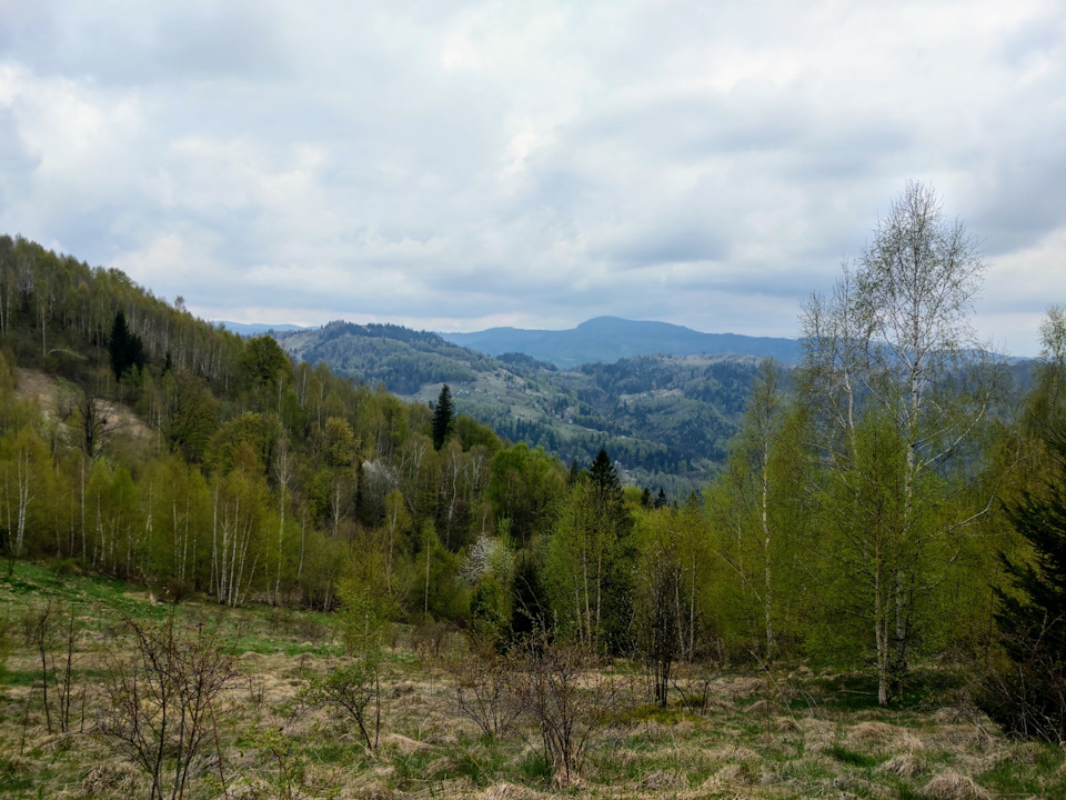 Гори 5