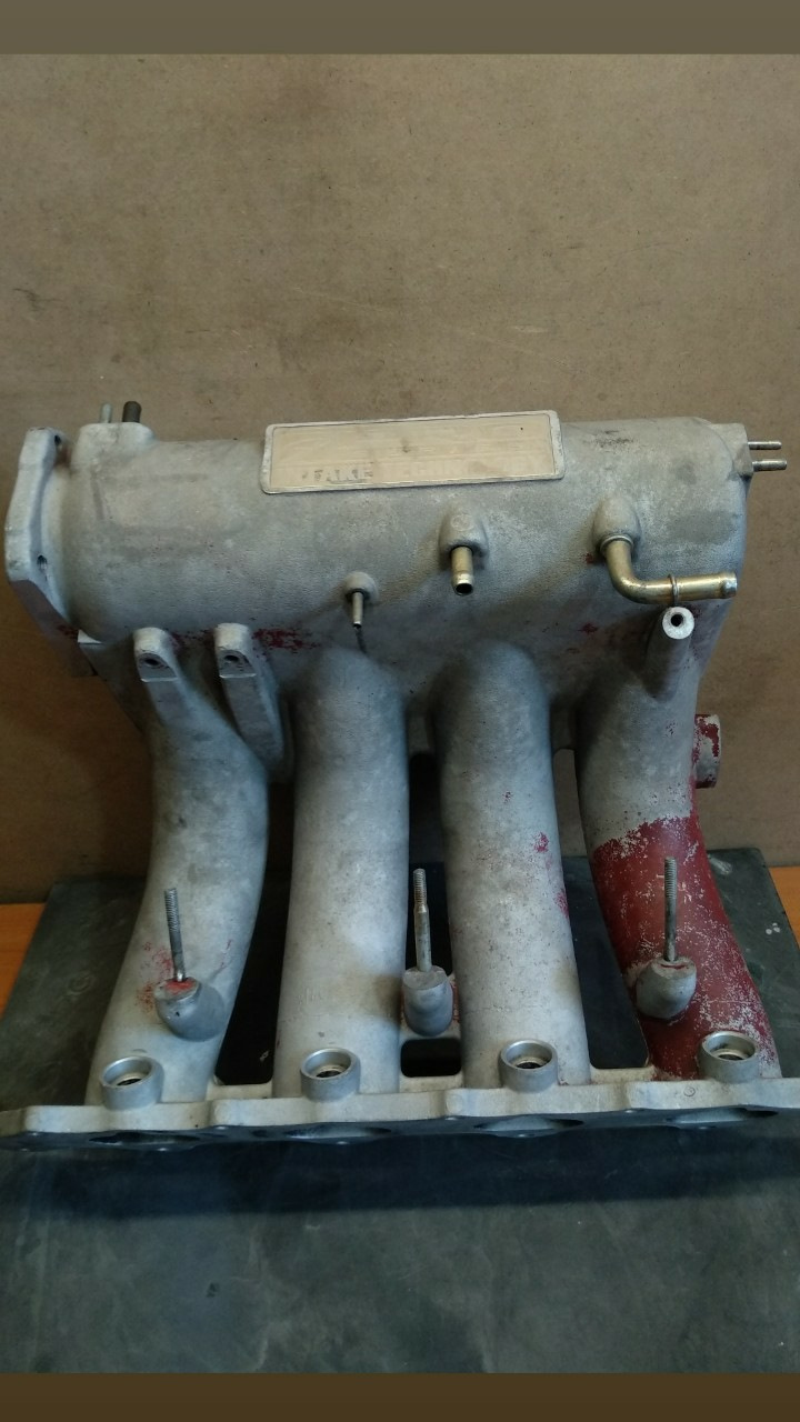 Skunk2 intake 1