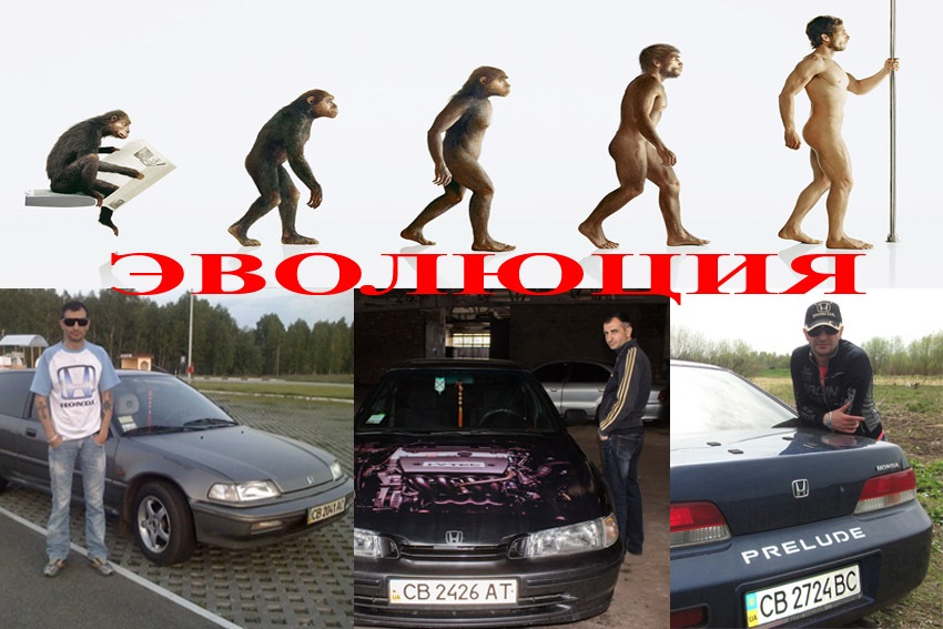 Еволюція хондовода 1