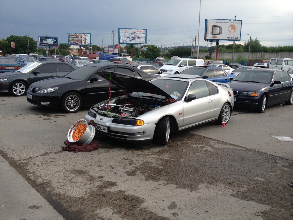 виставка 22,06,2013 3