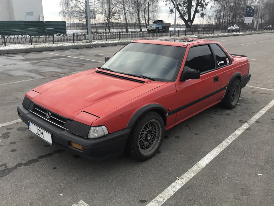 Продаю жабу. Але не факт, що продам :)