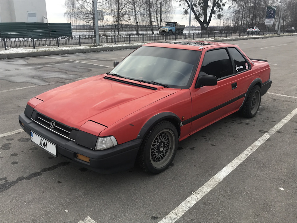 Продаю жабу. Але не факт, що продам :) 1
