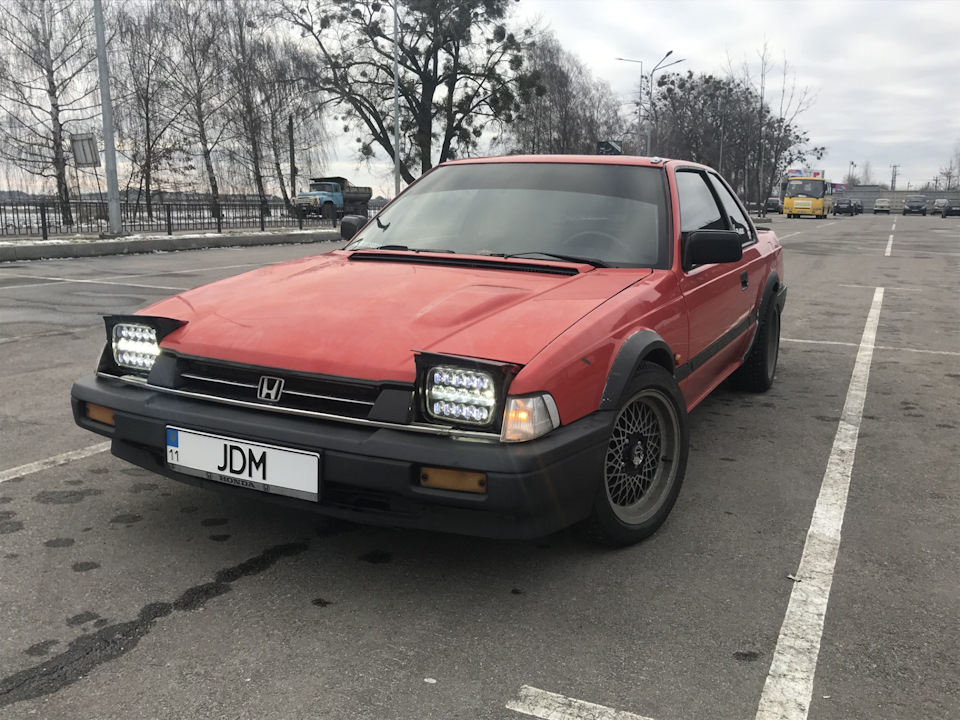 Продаю жабу. Але не факт, що продам :) 2