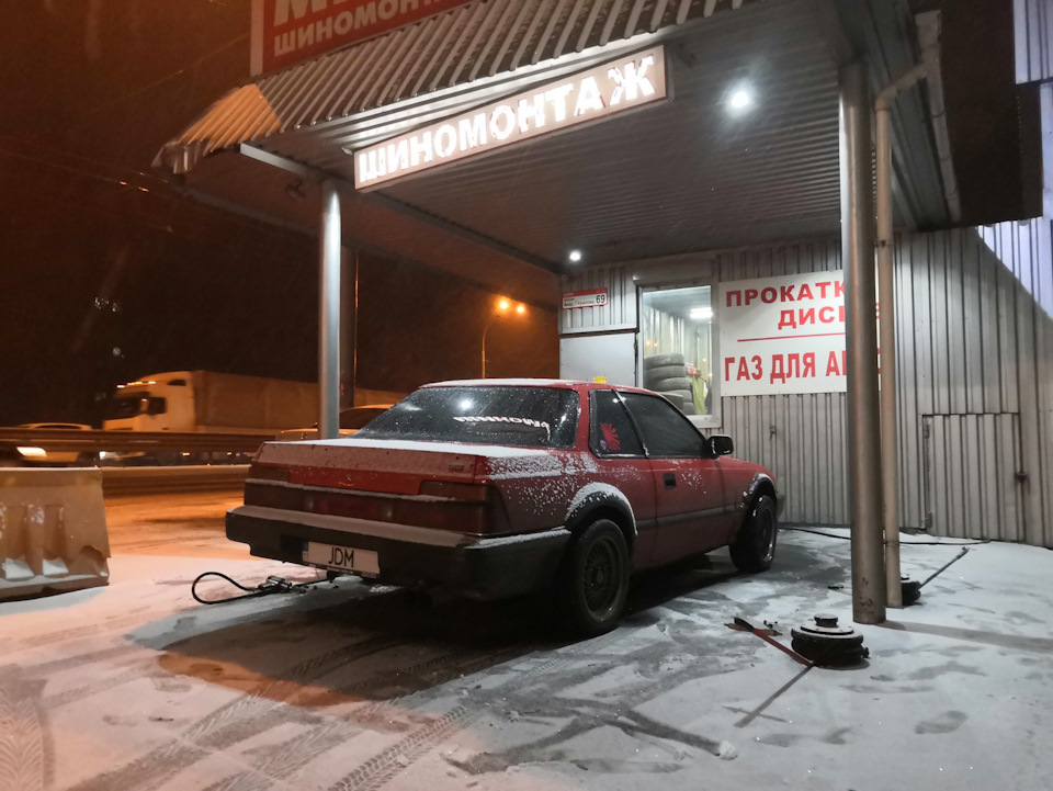 З першим снігом:) 1