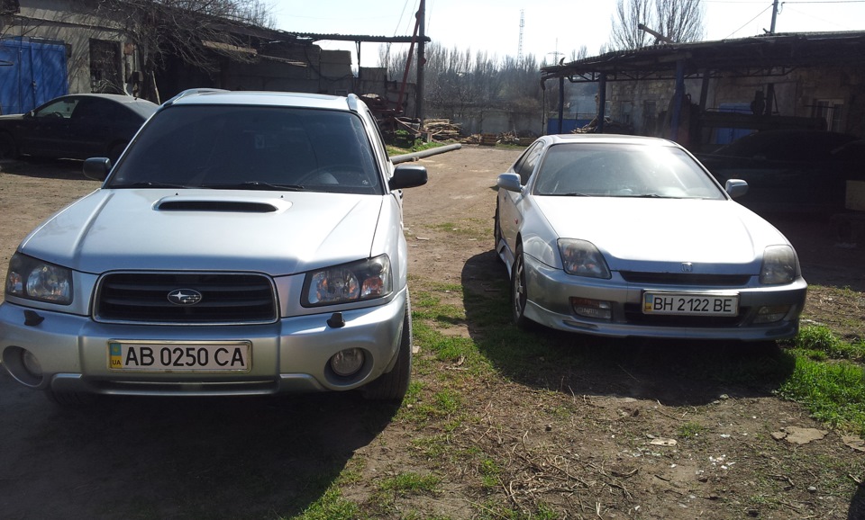 Купив подругі друга. 2