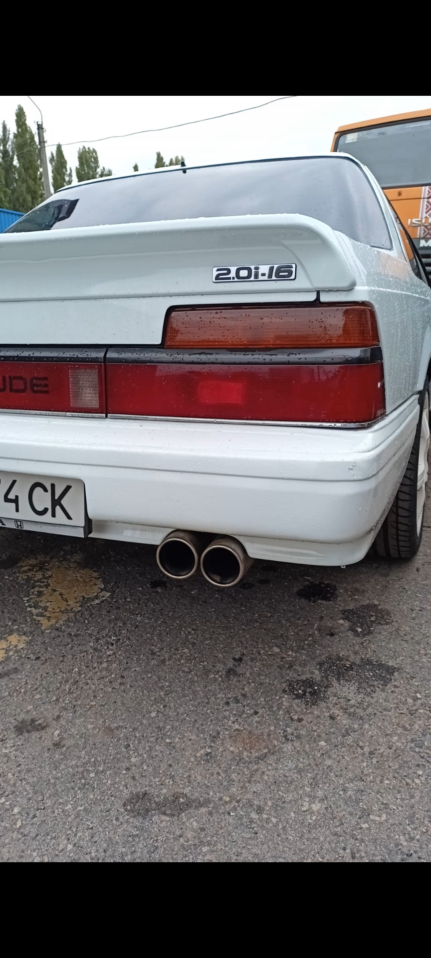 Пороги та килимки 5