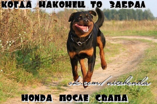Настав той день) 2