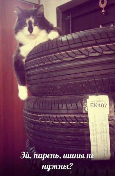 Rear tires. 1