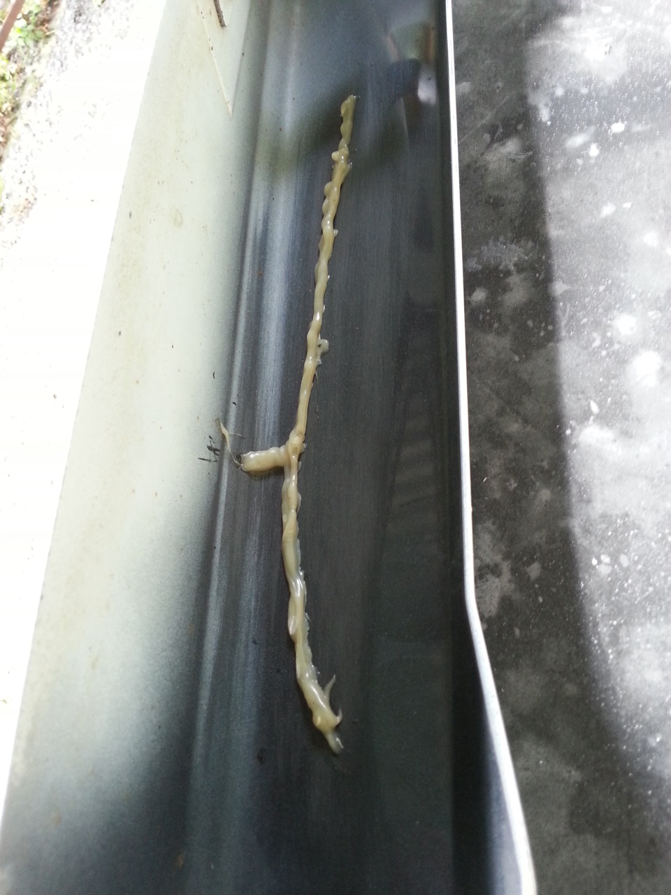 Side skirt OEM 4