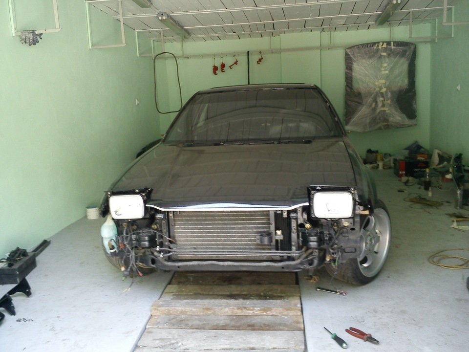 морда 3