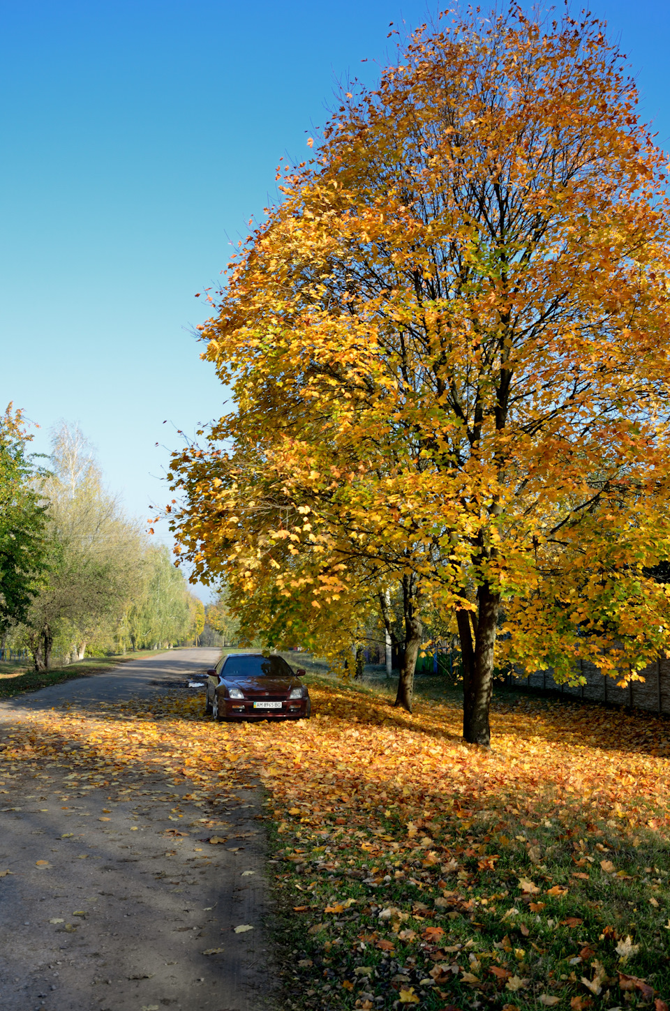 Фото. Київ - Мінськ. 4