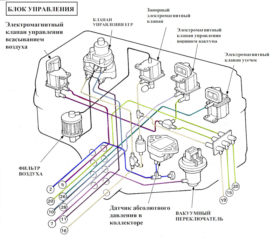 Dual Carb Keihin Honda Prelude III схема вакуумної електронної паливної системи 5