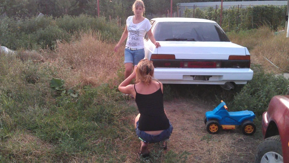 Стара і нова ластівка