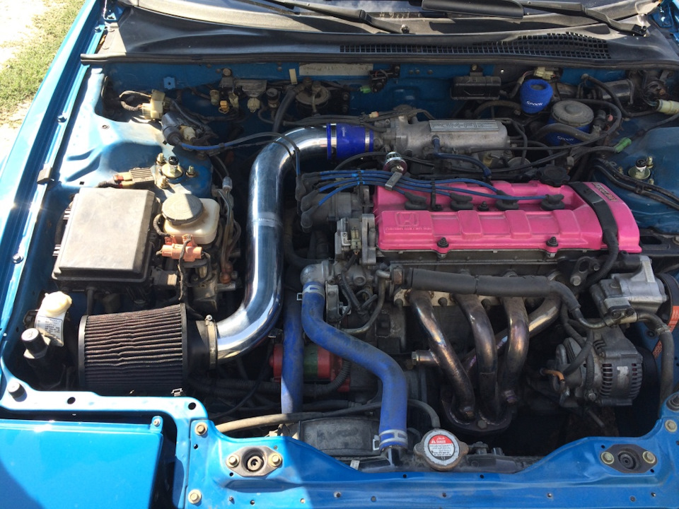 New intake bro's 2