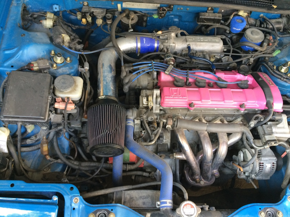 New intake bro's 1
