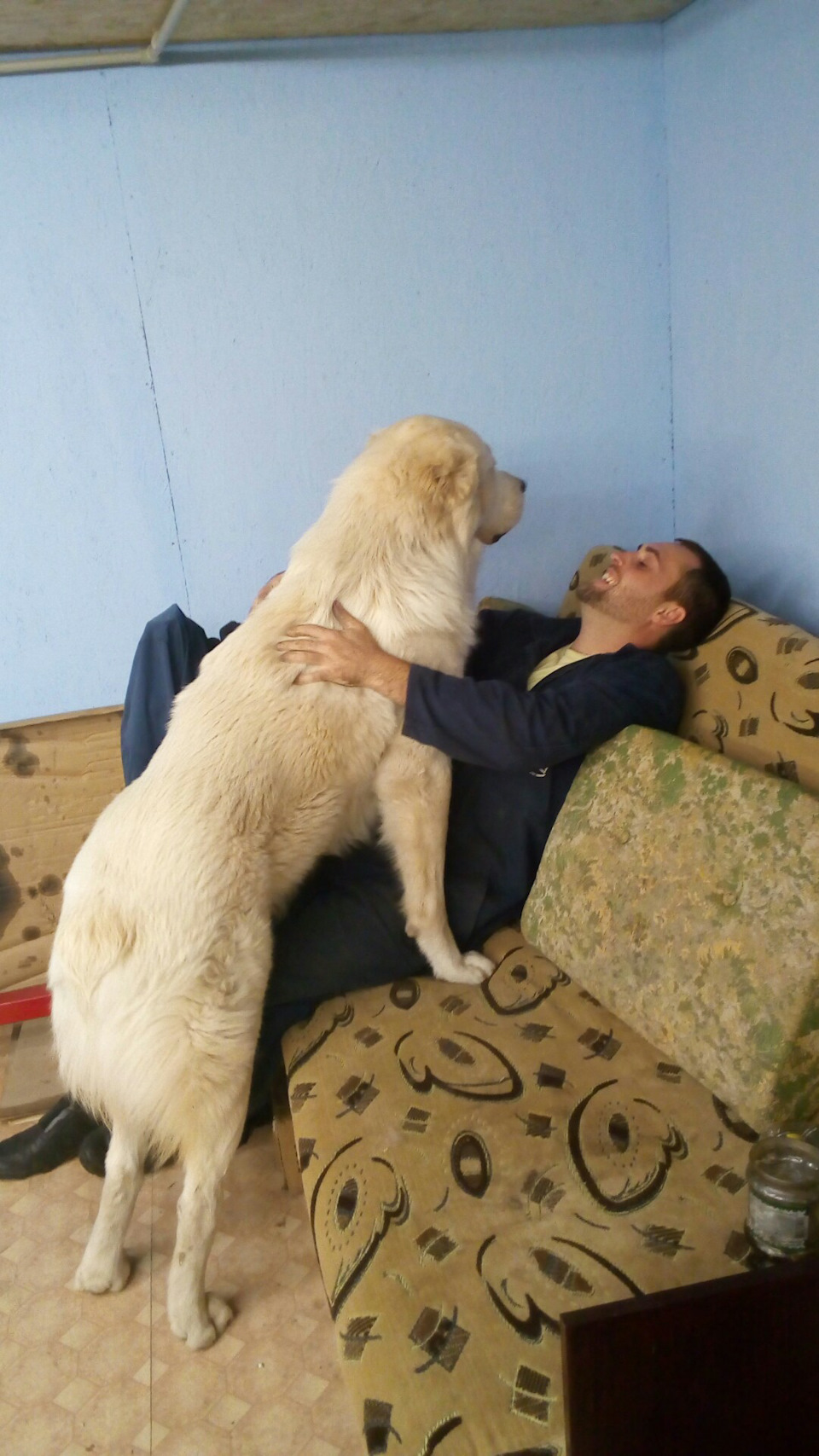 ГБЦ, впуск, дросель на місці 2