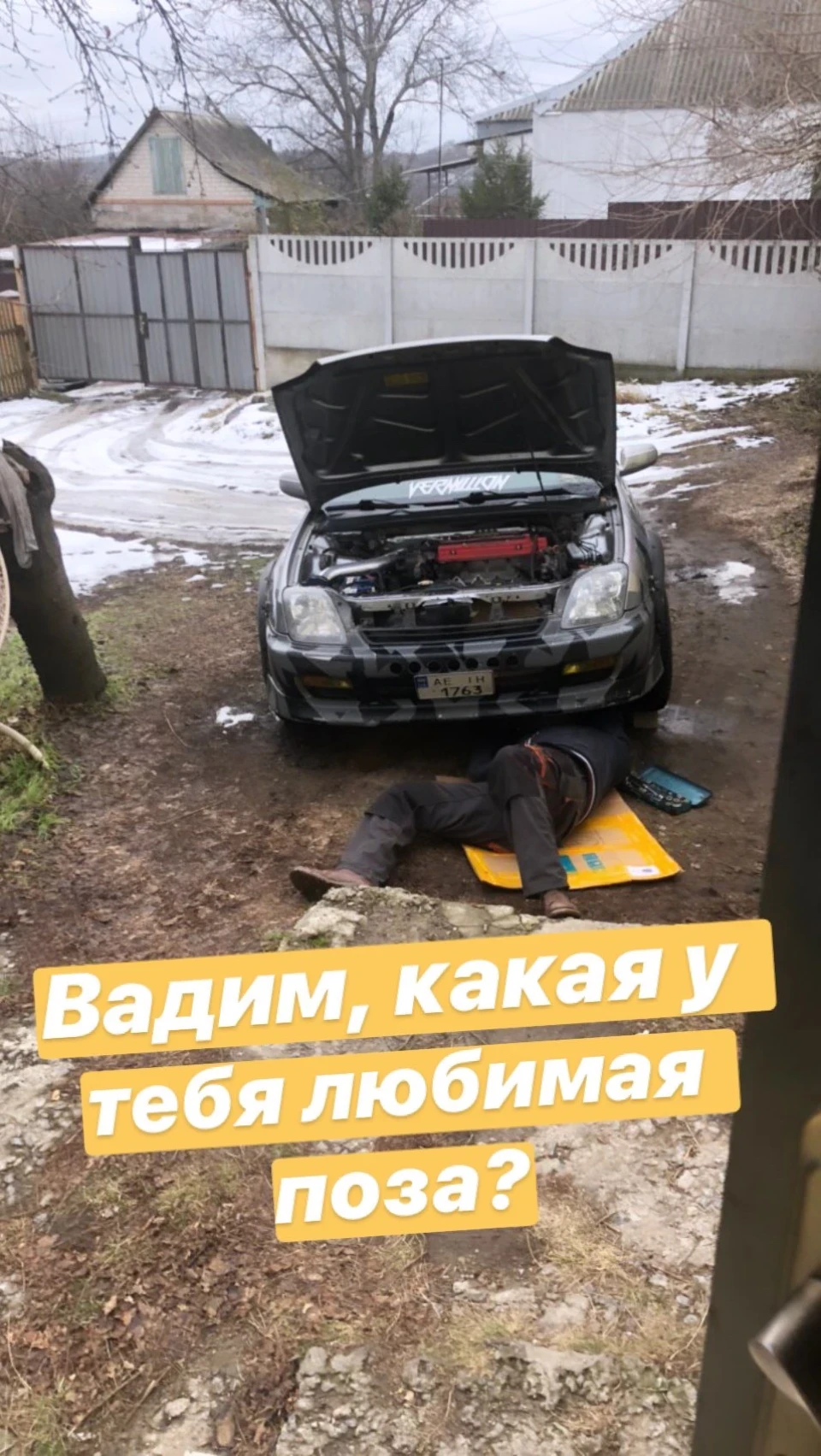Павук живи