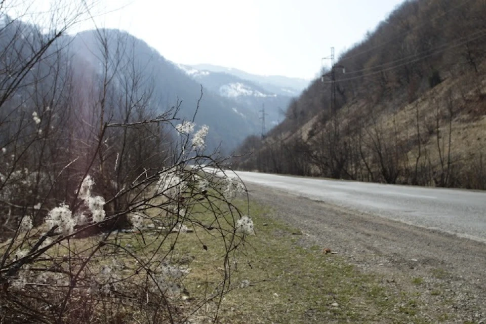 Карпати з 25 березня до 1 квітня