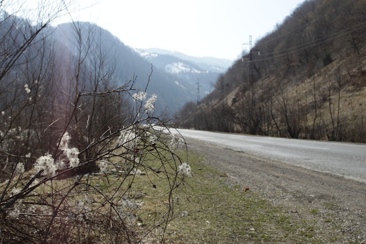 Карпати з 25 березня до 1 квітня 1