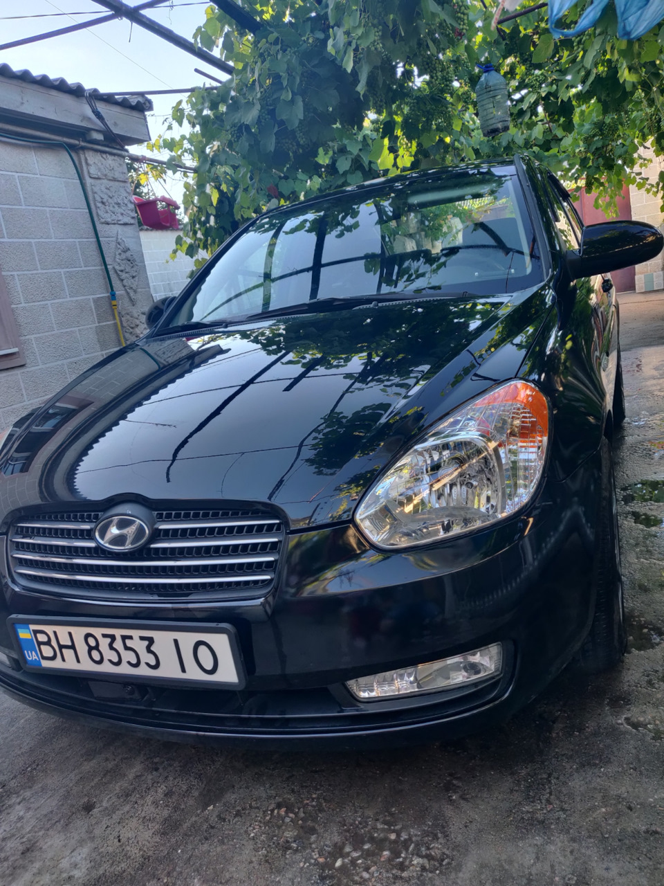 Піст подяки 4