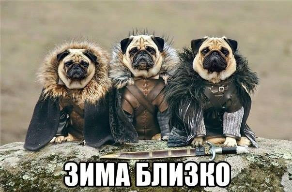 Зима близько 2