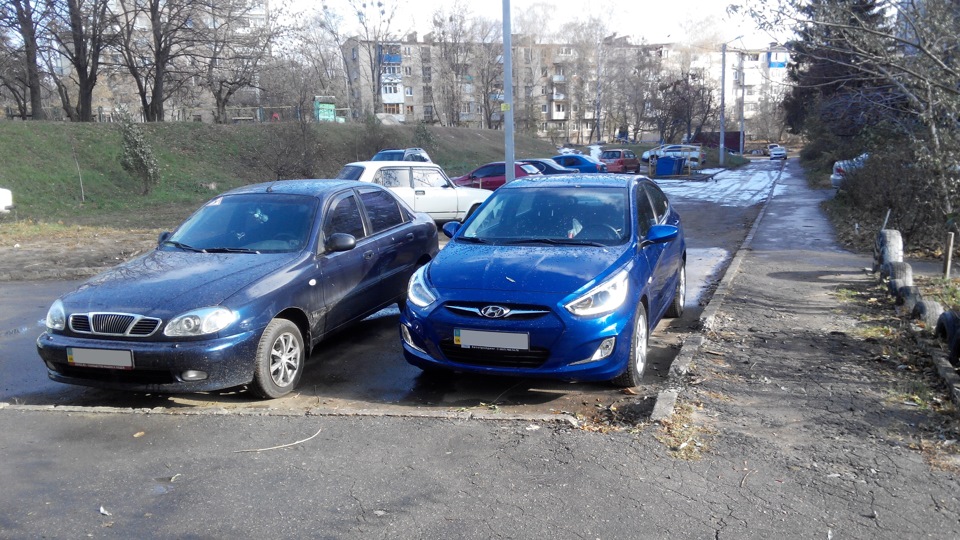 Фото синіх) 1
