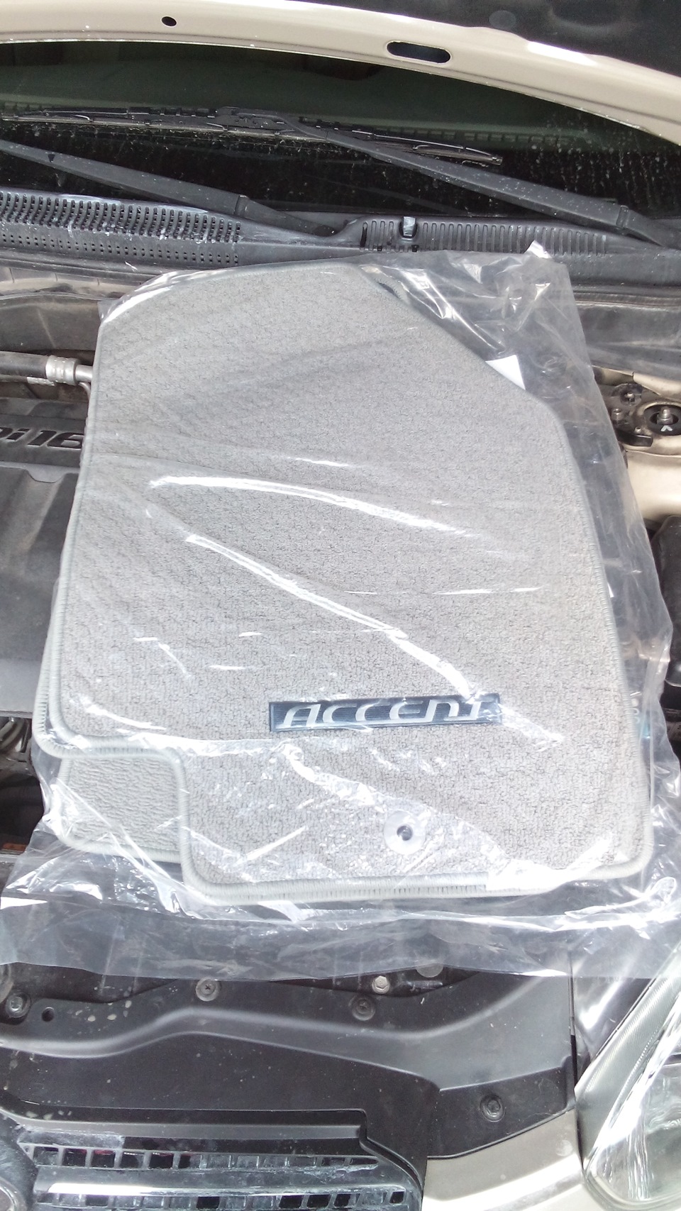 Оригінальні килимки Hyundai Accent 2
