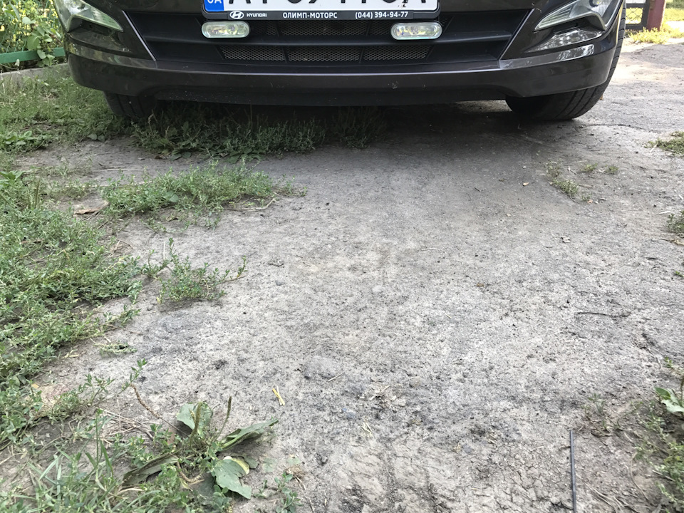 Протитуманки 1