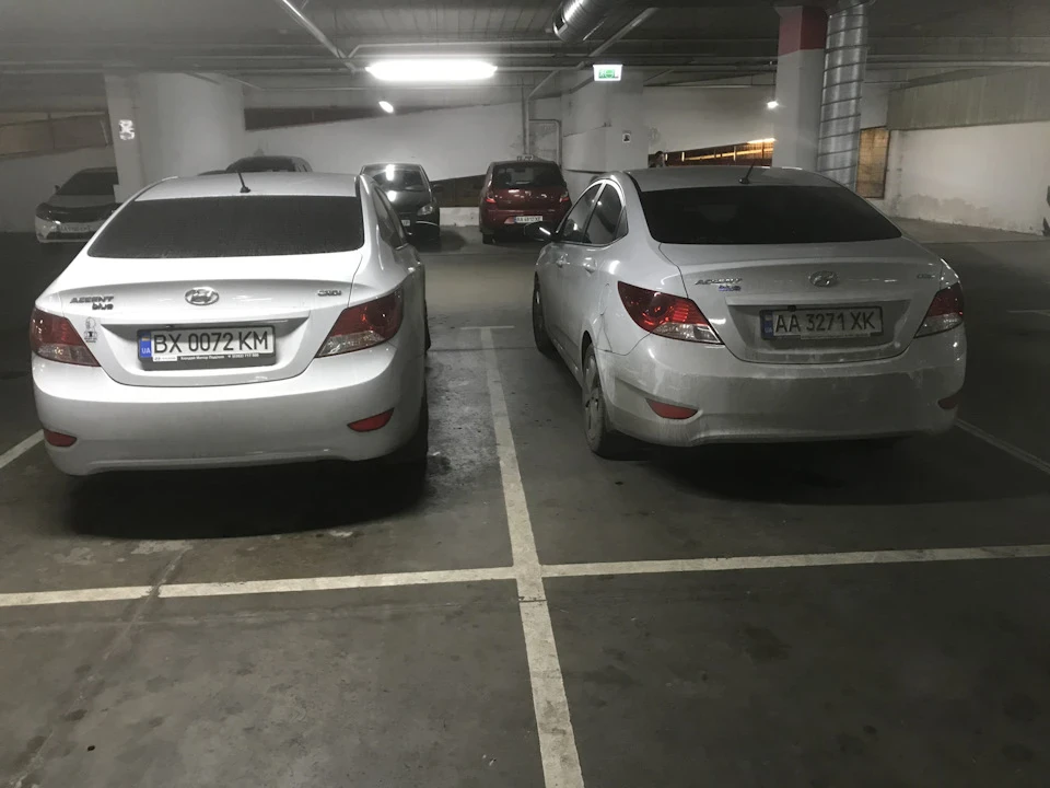 Зустрів брата по «крові»