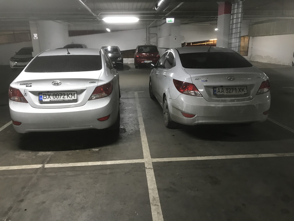 Зустрів брата по «крові» 1