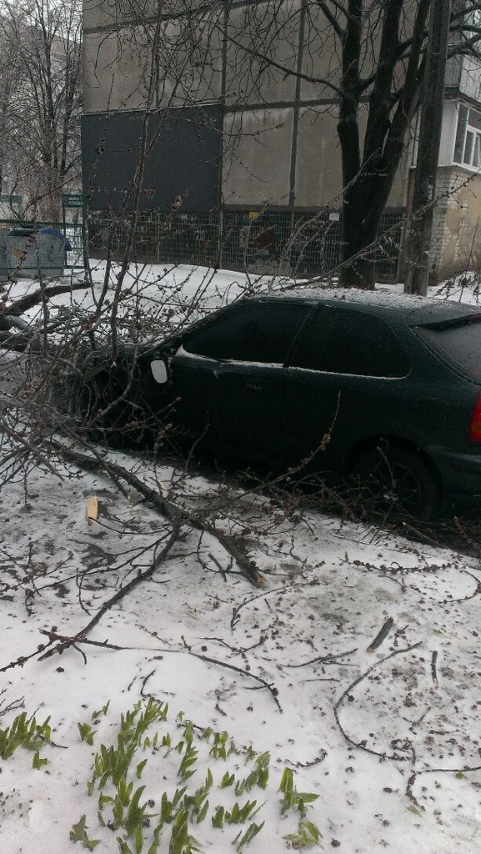 Йшов 58 день зими...