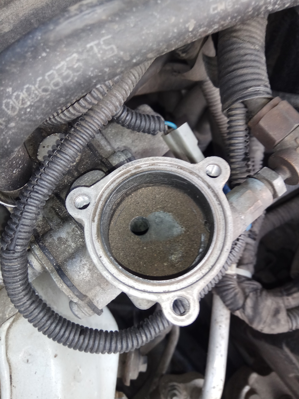 Motul 8100eko lite 4