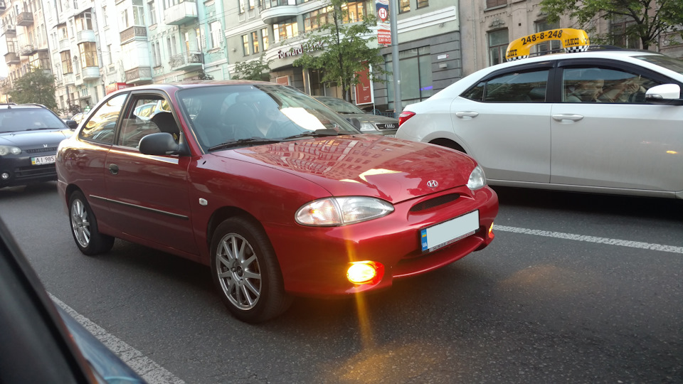 Віддав у добрі руки 2