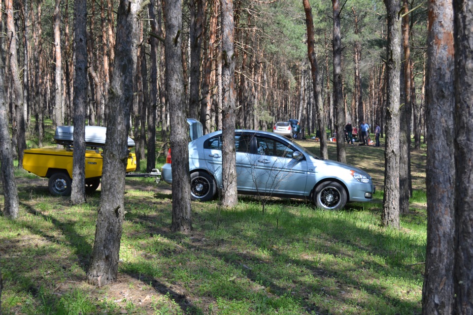 вилазка до лісу 1