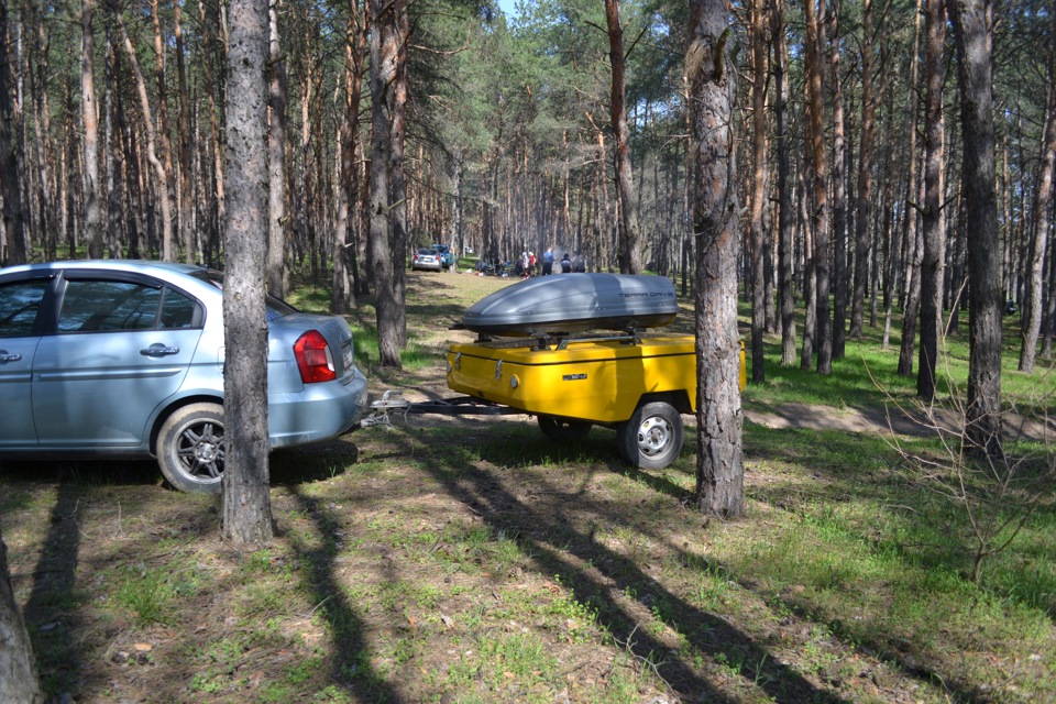вилазка до лісу 2