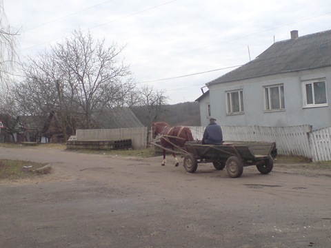Що нового? 2