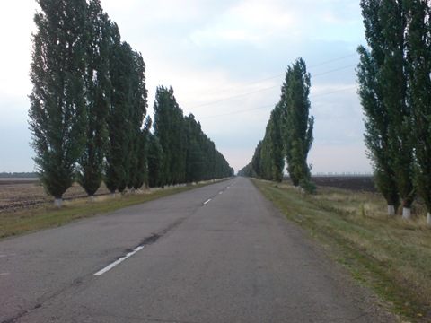 Кримські замальовки 5