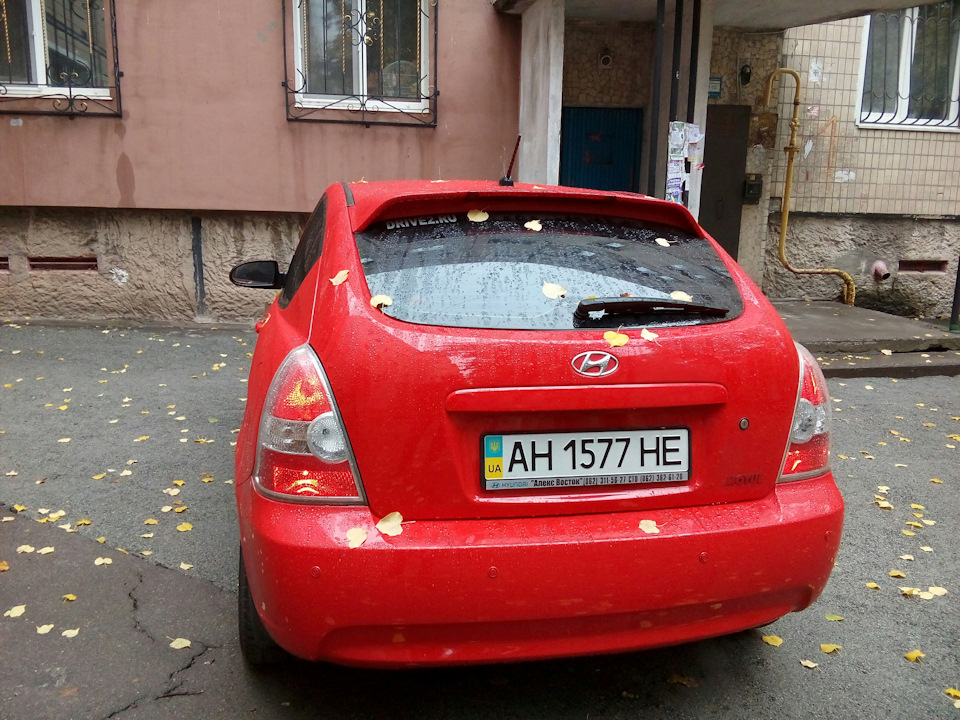 На згадку про теплі дні. 2