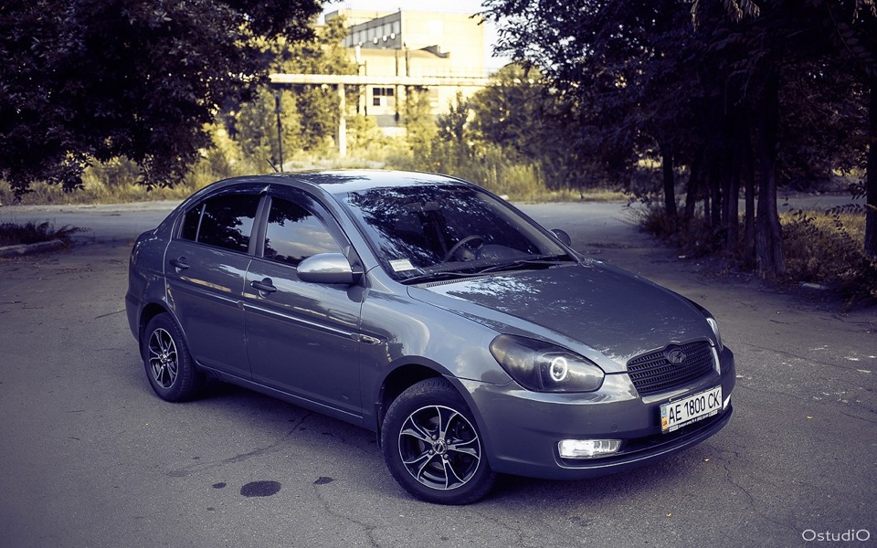 Фото сет Grey mouse. 3