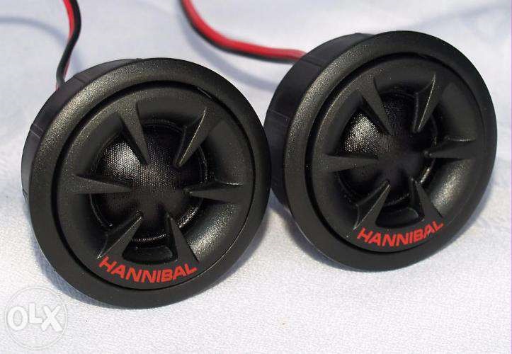 CS-H2W ALPHARD HANNIBAL 4